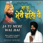 Ja Tu Mere Wal Hai