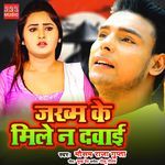 Jakham Ke Mile Na Dawaai