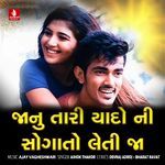 Janu Tari Yado Ni Sogato Leti Ja