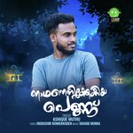 Nadhanenikkekiya Pennu