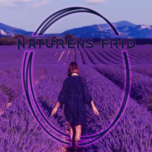 Djup sömnmeditation cover art