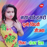 naya baave hamaro duno chijhava jeejava