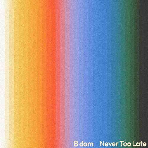 Never Too Late_poster_image