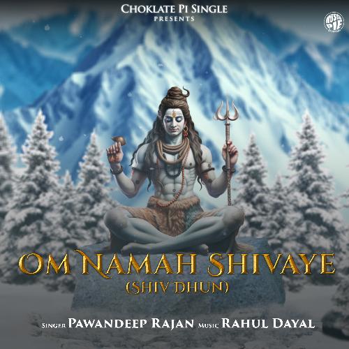 Om Namah Shivaye (Shiv Dhun)