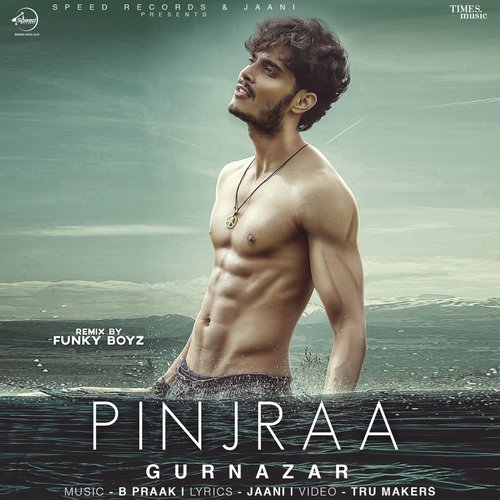 Pinjraa - Remix