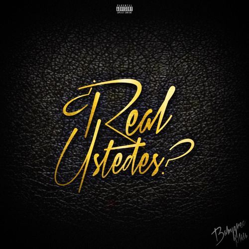 ¿Real Ustedes? cover art