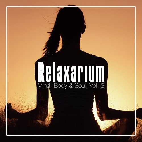 Relaxarium - Mind, Body & Soul, Vol. 3