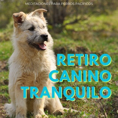 Retiro De Descanso Para Perros cover art