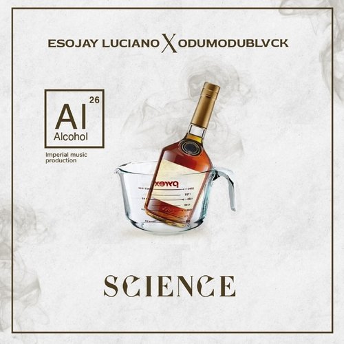 Science (feat. Odumodublvck) cover art