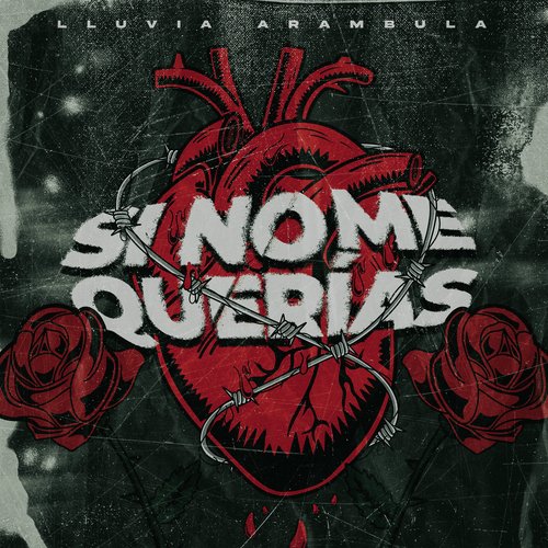 Si No Me Querias_poster_image