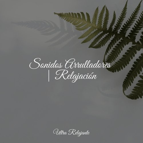 Sonidos Arrulladores | Relajación_poster_image