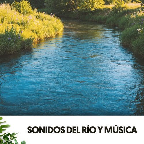 Latido del corazón zen cover art