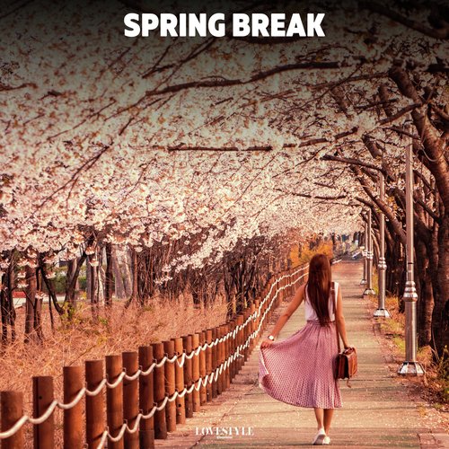 Spring Break_poster_image