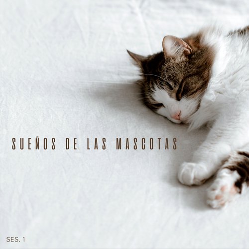 Relajante Música Para Gatos cover art