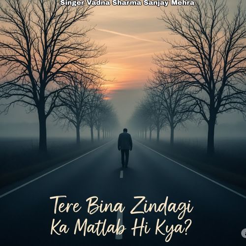 Tere Bina Zindagi Ka Matlab Hi Kya