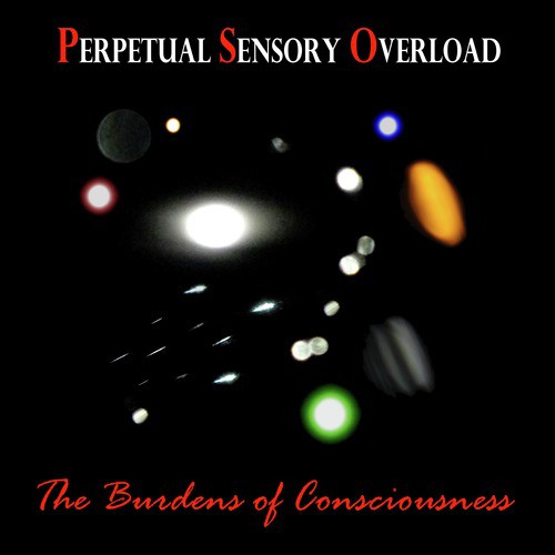 The Burdens of Consciousness