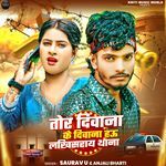 Tor Diwana Ke Diwana Lakhisaray Thana