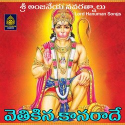 Vetikina kanaradve swamy-JycSXgVqdnI