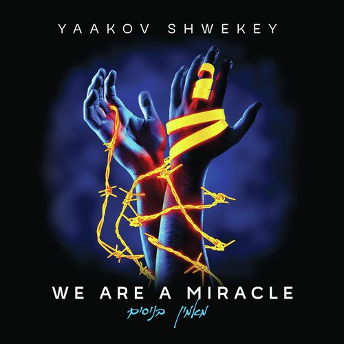 We Are a Miracle_poster_image