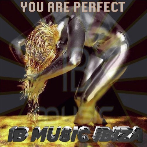 You Are Perfect (Techno Edit)_poster_image