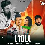 1 Tola
