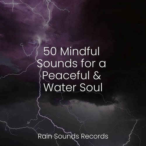 50 Mindful Sounds for a Peaceful & Water Soul