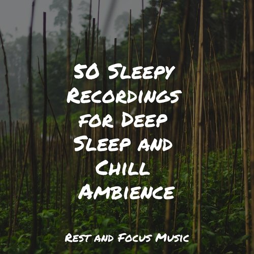 50 Sleepy Recordings for Deep Sleep and Chill Ambience