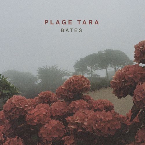 Bates cover art