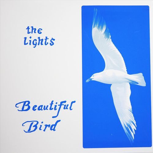 Beautiful Bird