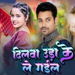 Dilwa Uda Ke Le Gail