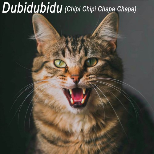 Dubidubidu (Chipi Chipi Chapa Chapa)_poster_image