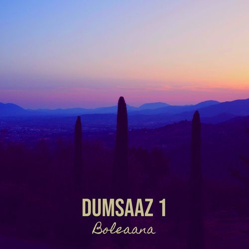 DumSaaz 1