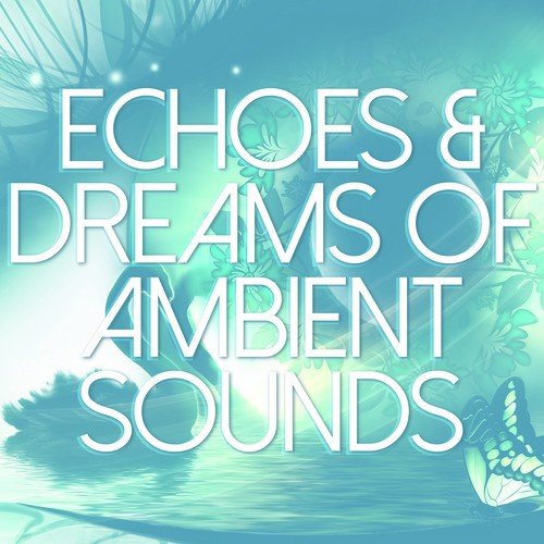 Echoes & Dreams of Ambient Sounds