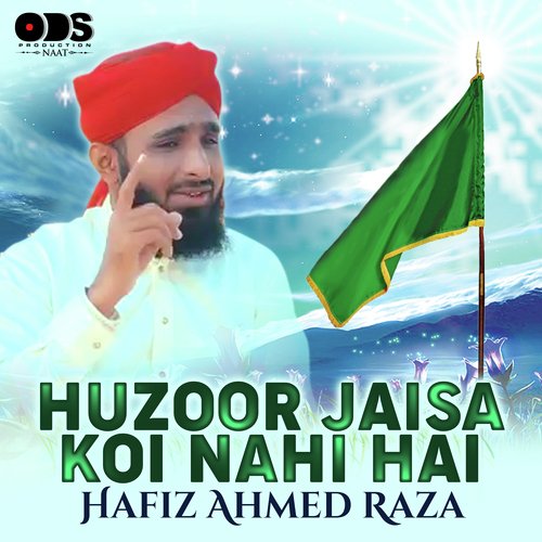 Hafiz Ahmed Raza