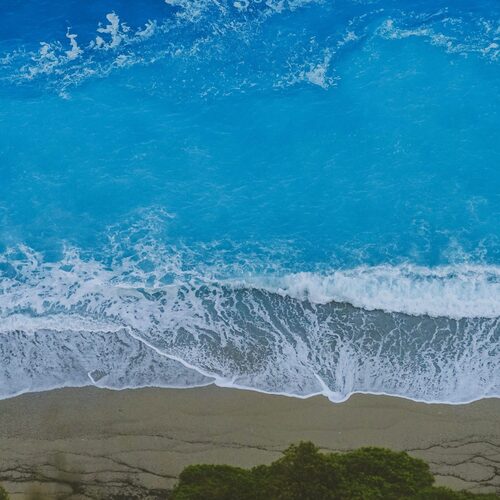 Indigo cover art