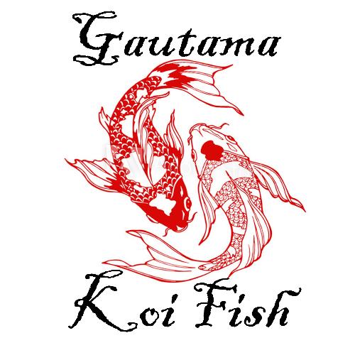 Koi Fish