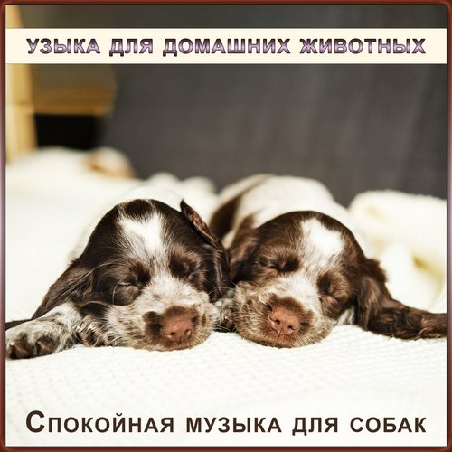Музыка для релаксации cover art