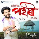 Majulire Potharot (Pahari, Vol-3)