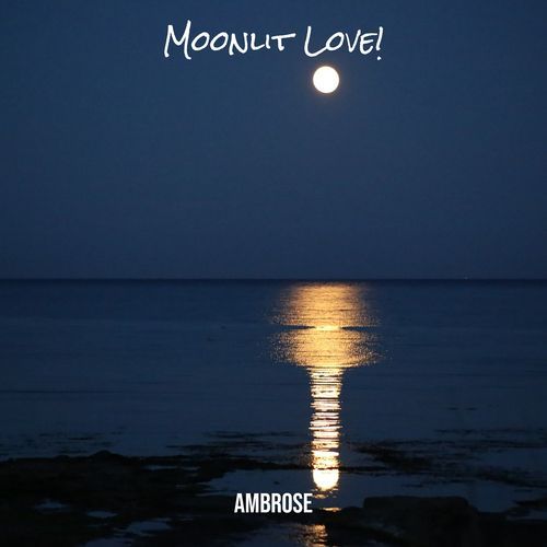 Moonlit Love!