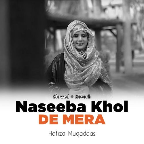 Naseeba Khol De Mera (Lofi-Mix)