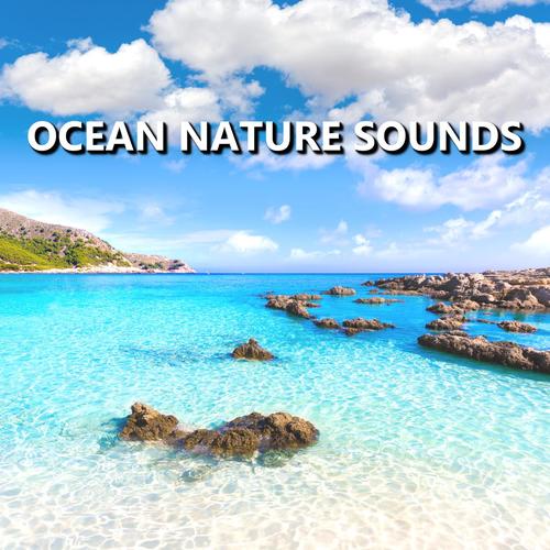 Spellbinding Pacific Ocean Sounds