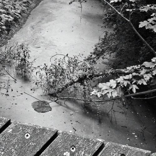 Calicanto cover art