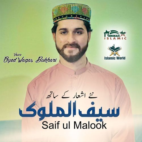SAIF UL MALOOK
