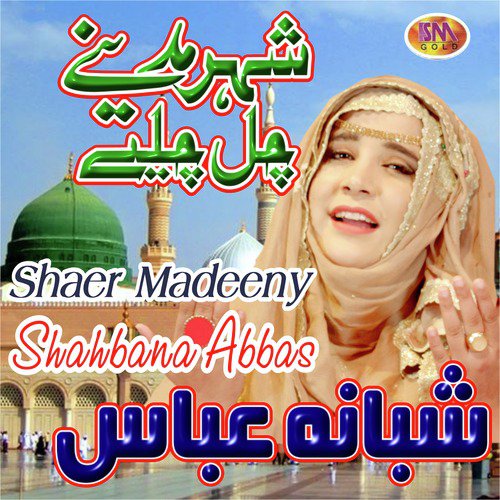 Shaer Madeeney, Vol. 16_poster_image