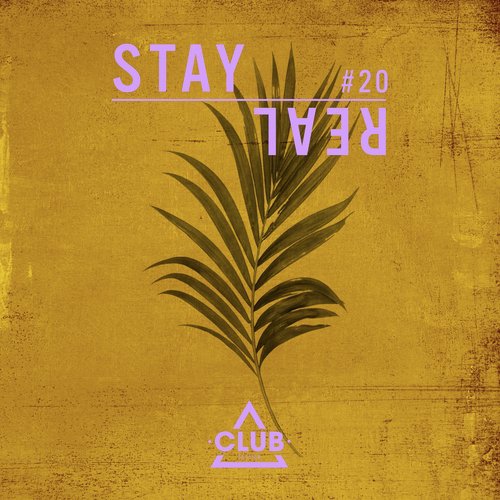 Here Is a Look cover art