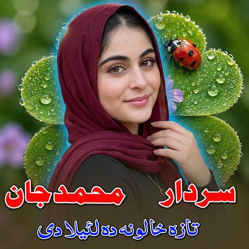 Taza Khalona Da Laila Di