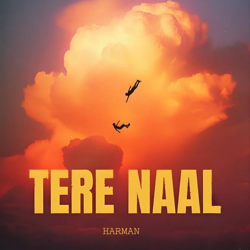 Tere Naal