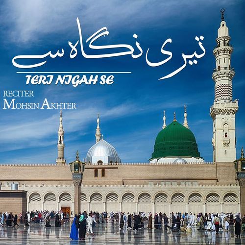 Teri Nigah Se