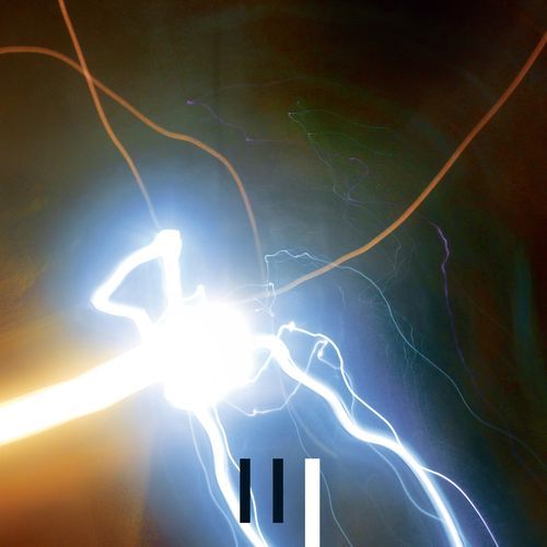 Lions Love cover art