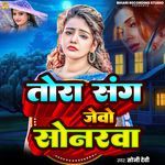 Tora Sang Jebo Sonarwa